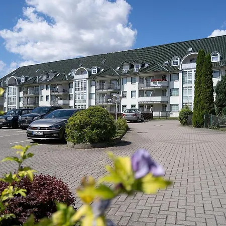 Commodore Meeresperle